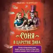 Постер книги Соня в царстве Дива