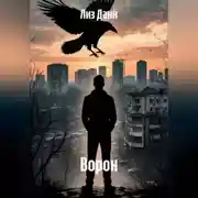 Постер книги Ворон