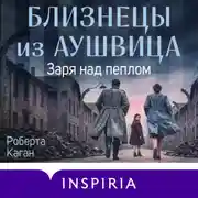 Постер книги Близнецы из Аушвица. Заря над пеплом