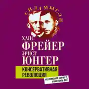 Постер книги Консервативная революция. Не изменяя ничего, изменить все