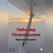 Постер книги Небо над Патриаршими