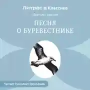 Постер книги Песня о буревестнике