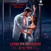 Постер книги Бракоразводный костёр