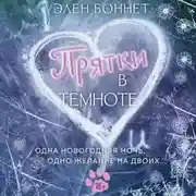 Постер книги Прятки в темноте