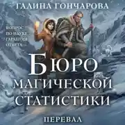 Постер книги Бюро магической статистики. Перевал