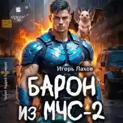 Постер книги Барон из МЧС-2