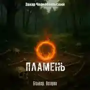 Постер книги Сталкер. Истории. Пламень