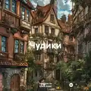 Постер книги Чудики