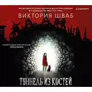 Постер книги Туннель из костей