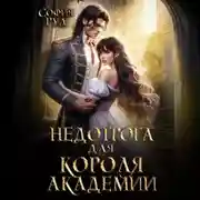 Постер книги Недотрога для короля академии