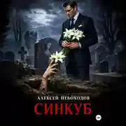 Постер книги Синкуб