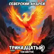 Постер книги Тринадцатый. Том 6