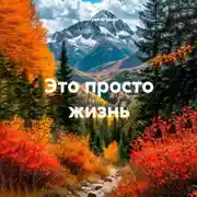 Постер книги Это просто жизнь