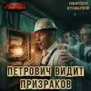 Постер книги Петрович видит призраков