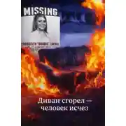 Постер книги Диван сгорел — человек исчез