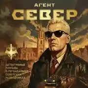 Постер книги Агент Север