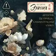 Постер книги Элегия