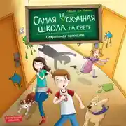 Постер книги Секретная комната