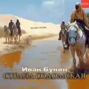 Постер книги Страна содомская