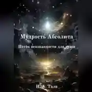 Постер книги Мудрость Абсолюта. Поток осознанности для души