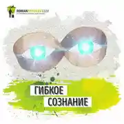 Постер книги Саммари на книгу «Гибкое Сознание. Новый взгляд на психологию развития взрослых и детей». Кэрол Дуэк