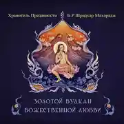 Постер книги Золотой вулкан божественной любви