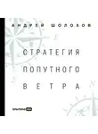 Андрей Шолохов - Стратегия попутного ветра. Как обнаружить или создать асимметрии, способные придать бизнесу ускорение