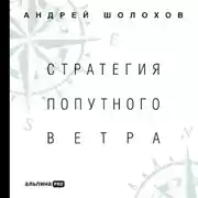 Постер книги Стратегия попутного ветра. Как обнаружить или создать асимметрии, способные придать бизнесу ускорение