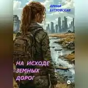 Постер книги На исходе земных дорог