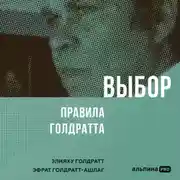 Постер книги Выбор. Правила Голдратта