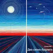 Постер книги Два синих бушлата