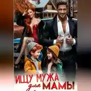 Постер книги Ищу мужа для мамы