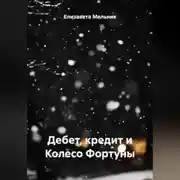 Постер книги Дебет, кредит и Колесо Фортуны