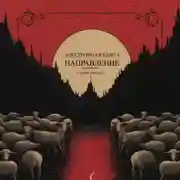Постер книги Направление
