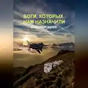 Постер книги Боги, которых нам назначили