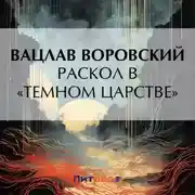 Постер книги Раскол в «темном царстве»