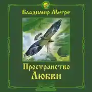 Постер книги Пространство любви