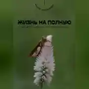 Постер книги Жизнь на полную. Как использовать все свои ресурсы