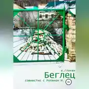 Постер книги Беглец