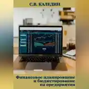 Постер книги Финансовое планирование и бюджетирование на предприятии