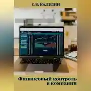 Постер книги Финансовый контроль в компании