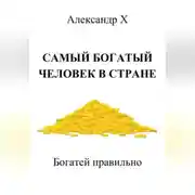 Постер книги Самый богатый человек в стране
