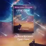 Постер книги Душа и Космос