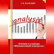 Постер книги Лекция в слайдах «Финансовый контроль»
