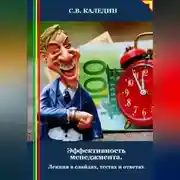 Постер книги Эффективность менеджмента. Лекция в слайдах, тестах и ответах