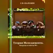 Постер книги Теория Менеджмента. Вопросы и ответы 1