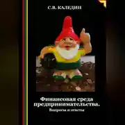 Постер книги Финансовая среда предпринимательства. Вопросы и ответы