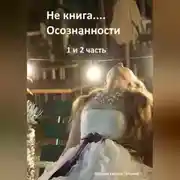 Постер книги Не книга… Осознанности 1 и 2 часть