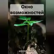 Постер книги Окно возможностей