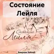 Постер книги Состояние Лейля